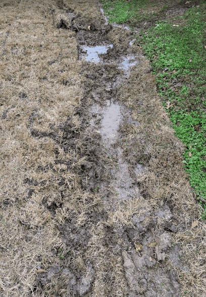 Evergreen Landscape & Irrigation — Lawn & Landscape photo 3 of 3