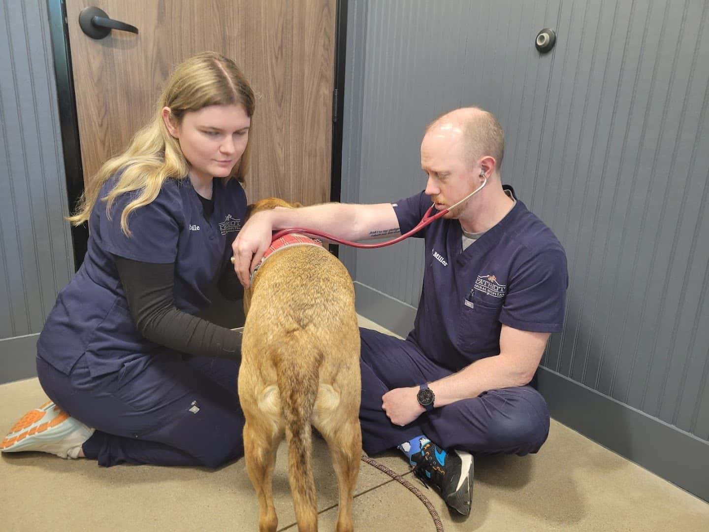 Patriot Animal Hospital — Pet Services photo 3 of 5