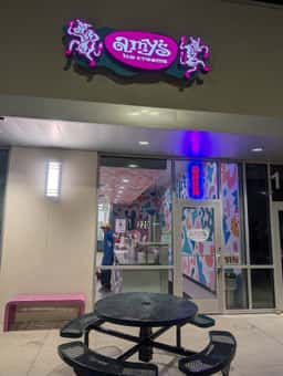Amy's Ice Creams