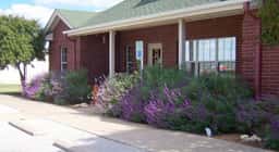 Hutto Veterinary Clinic