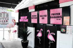 Frozen Flamingo