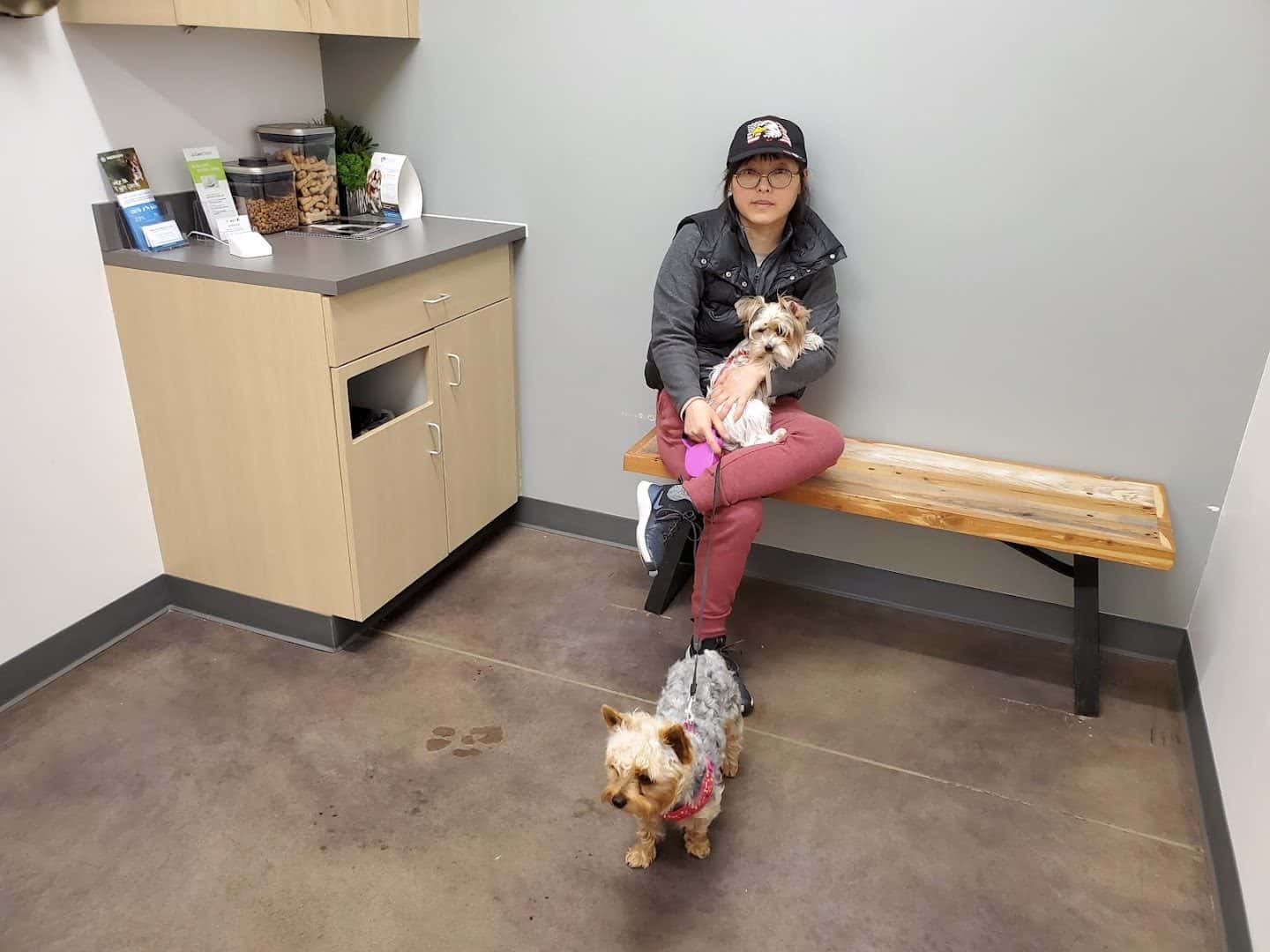 Thrive Pet Healthcare - Cedar Park — Pet Services photo 2 of 5