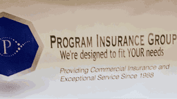 Program Insurance Group
