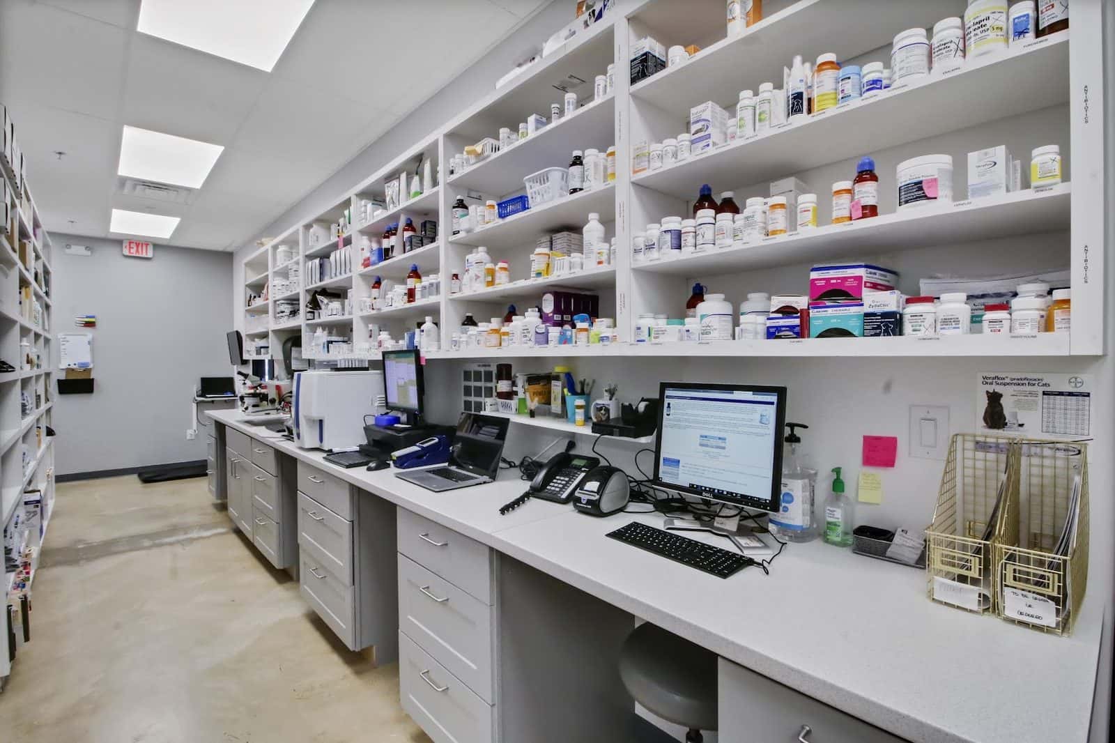 Sam Bass Veterinary Wellness — Pet Services photo 3 of 5