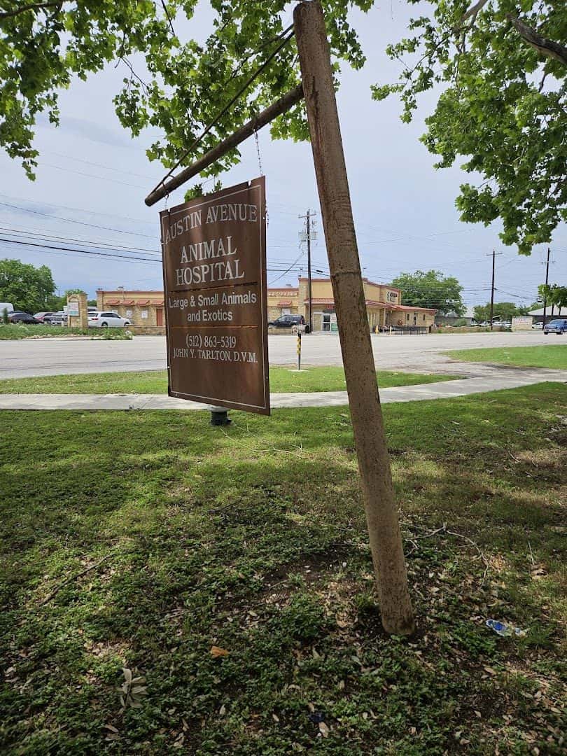 Austin Avenue Animal Hospital — Pet Services photo 2 of 5