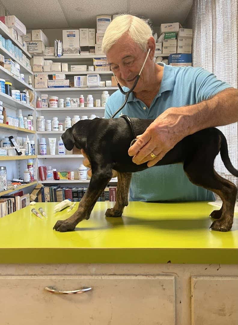 Austin Avenue Animal Hospital — Pet Services photo 3 of 5