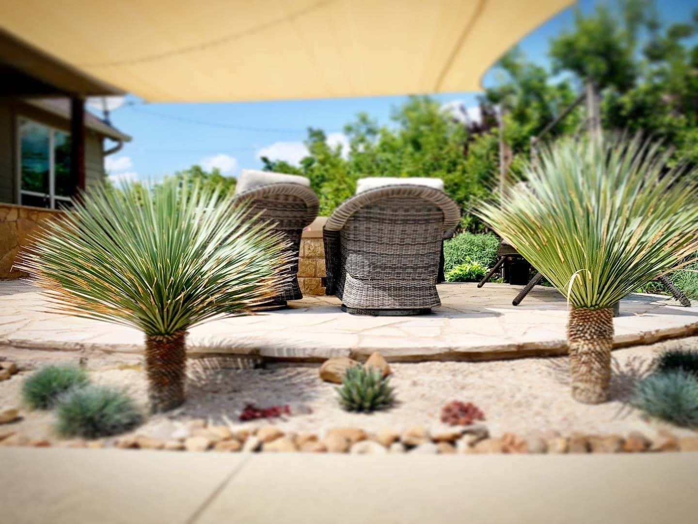 Serene Landscape Design, LLC — Lawn & Landscape photo 2 of 5