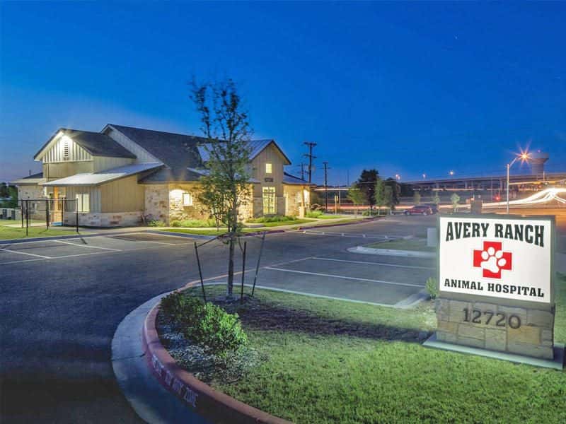 Avery Ranch Animal Hospital — Pet Services photo 2 of 5