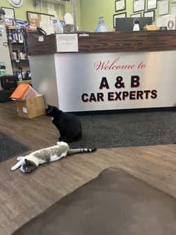 A & B Car Experts