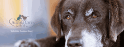 Animal Care Clinic