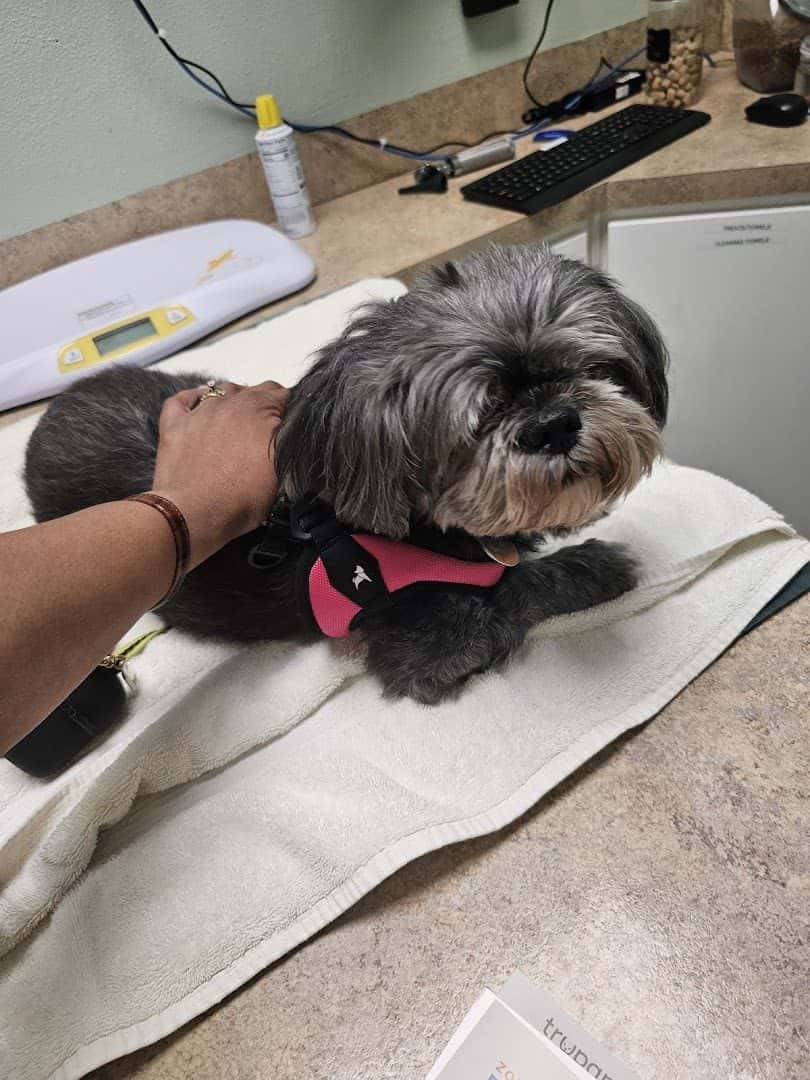 Animal Care Clinic — Pet Services photo 2 of 5