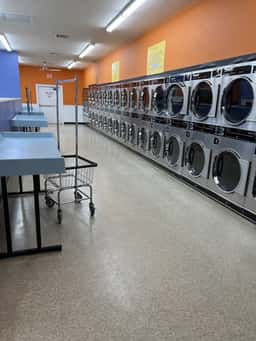 Wash-it-All