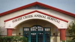 Forest Creek Animal Hospital