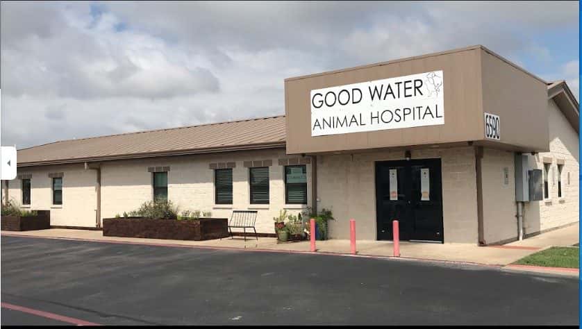 Good Water Animal Hospital — Pet Services photo 3 of 5