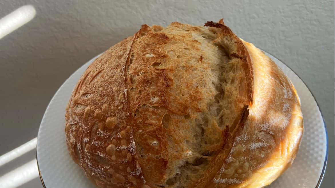 Bluebonnet Sourdough Bakery — Bakeries & Desserts photo 2 of 5