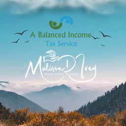 A Balanced Income Tax Service
