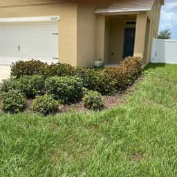 LawnStarter - Austin Landscaping