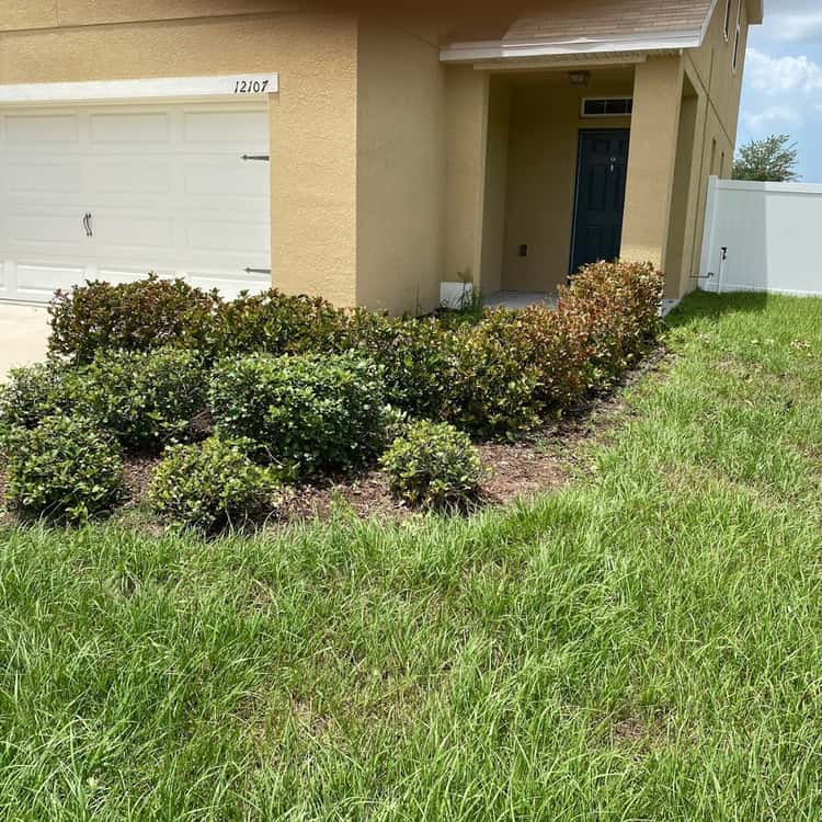 LawnStarter - Austin Landscaping