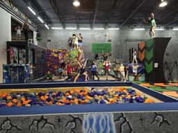 The Jungle Movement Academy