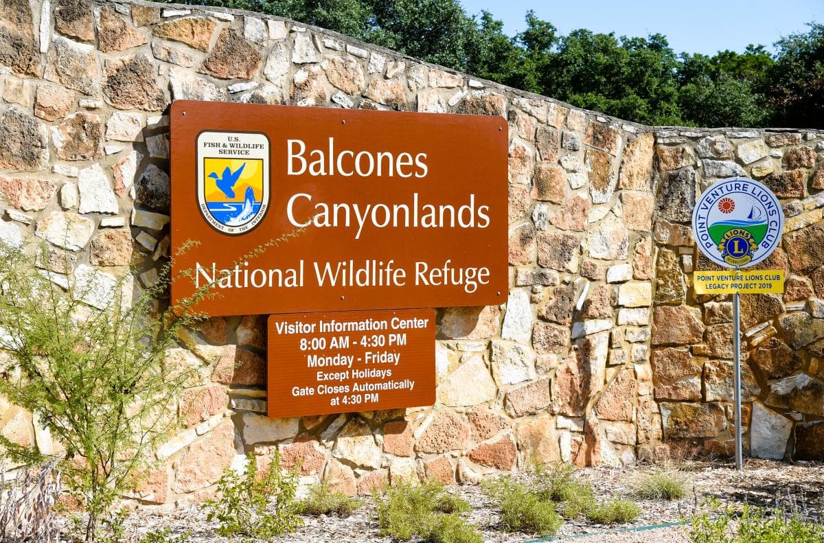 Refuge Round Up