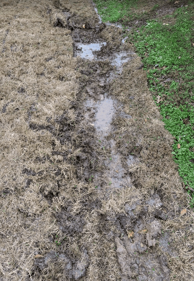 Evergreen Landscape & Irrigation