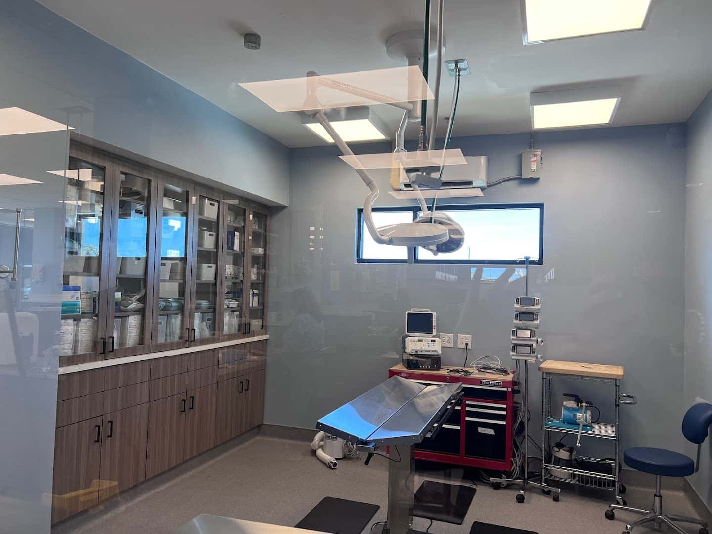 Emergency Animal Hospital of Crystal Falls — Pet Services photo 2 of 5