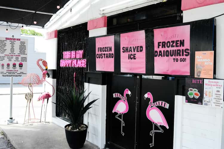 Frozen Flamingo