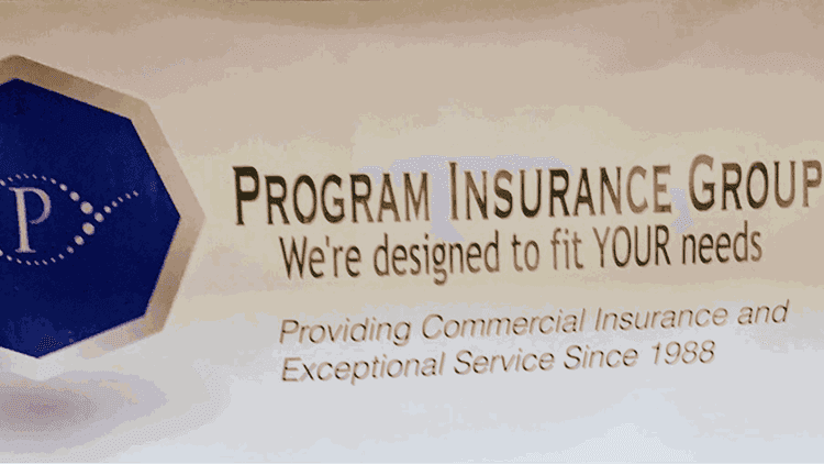 Program Insurance Group