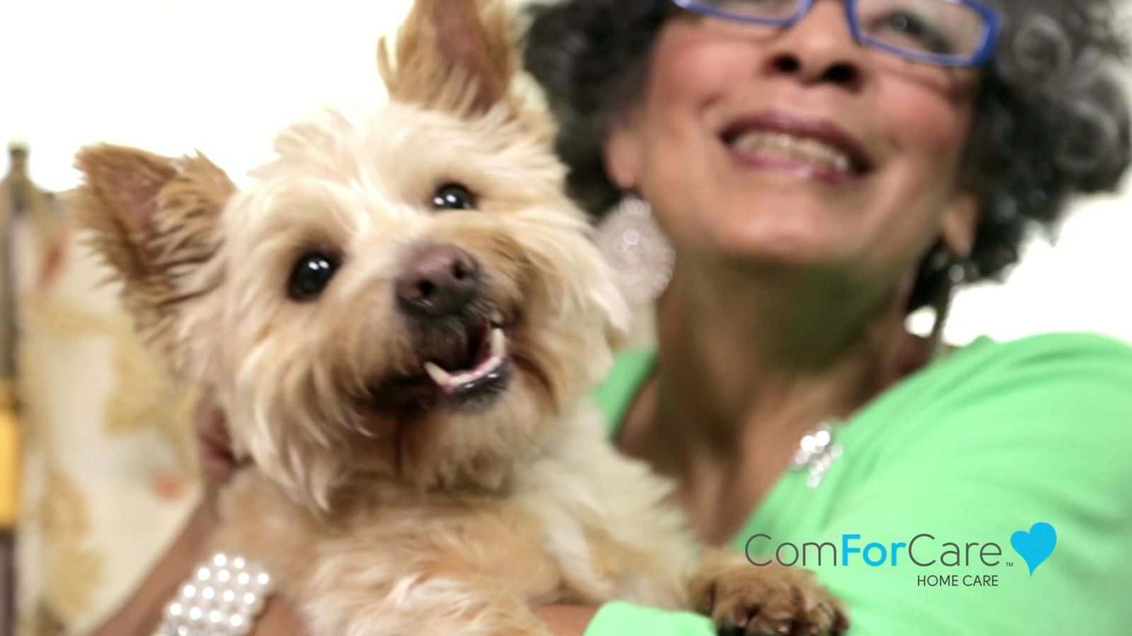 ComForCare Home Care (North Austin) — Senior Services photo 2 of 5