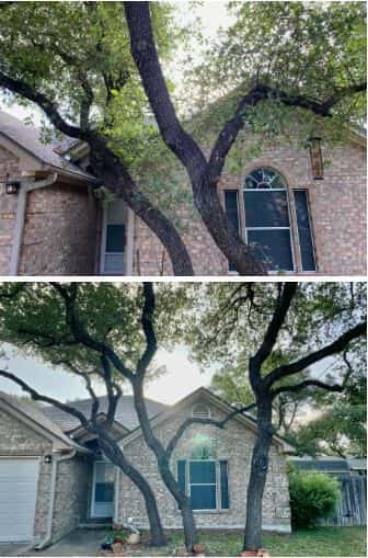 Acacia Tree and Landscape Care — Lawn & Landscape photo 3 of 5