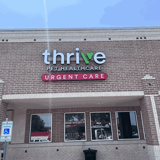 Thrive Pet Healthcare - Round Rock