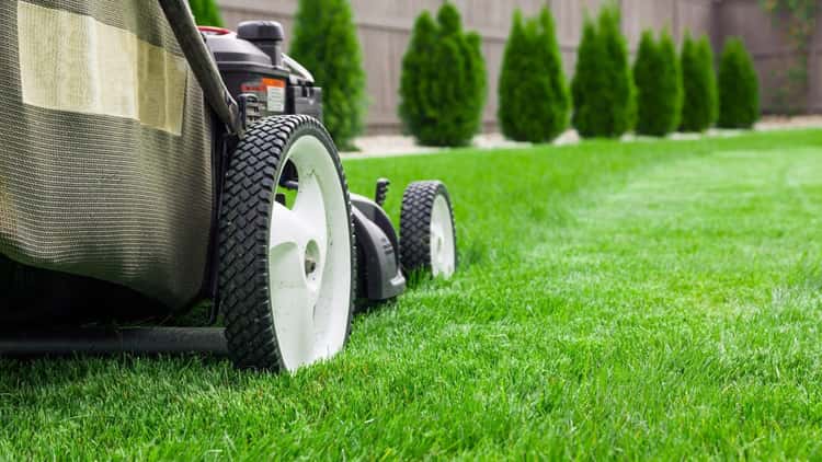 LawnStarter Cedar Park