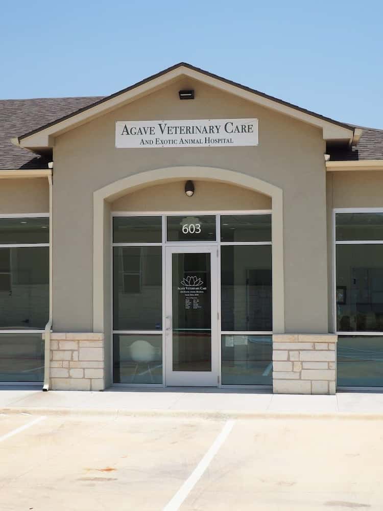 Agave Vet Care & Exotic Animal Hospital
