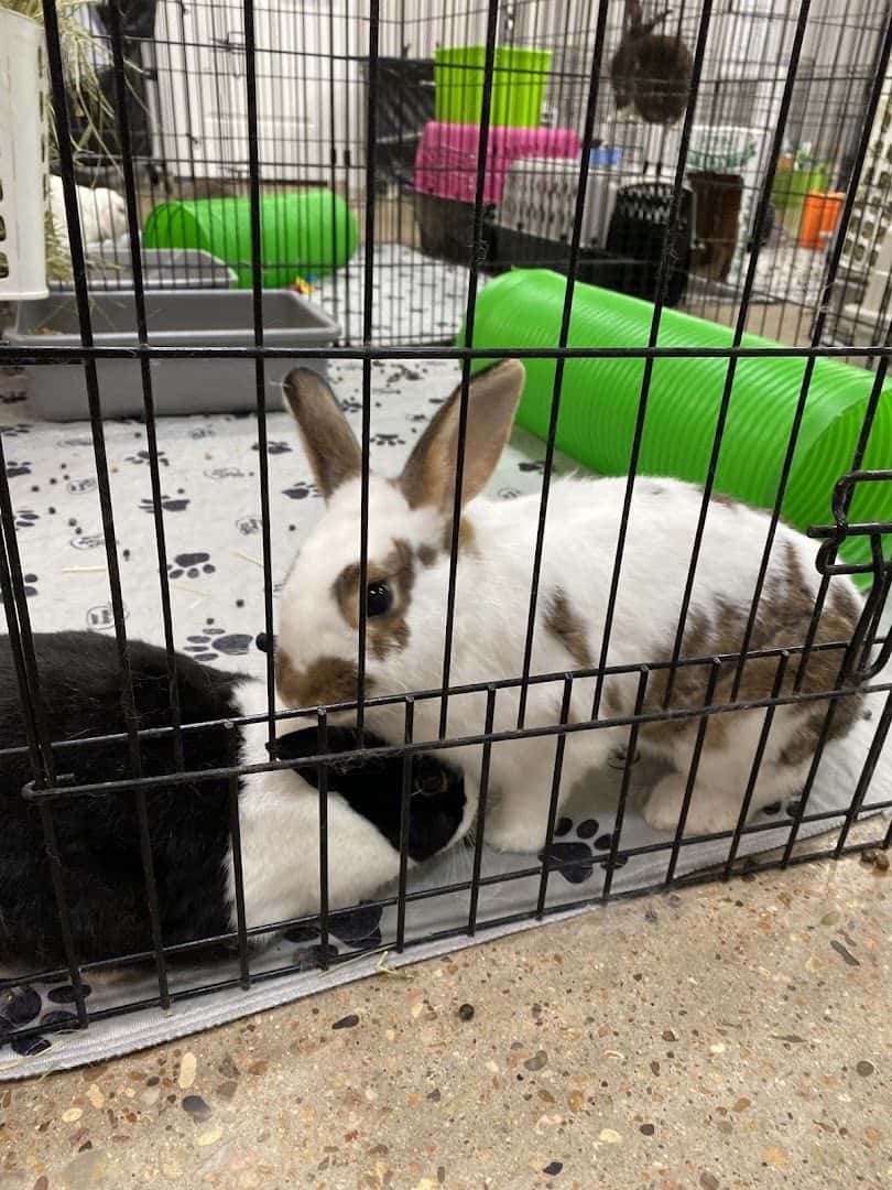 Agave Vet Care & Exotic Animal Hospital — Pet Services photo 2 of 5