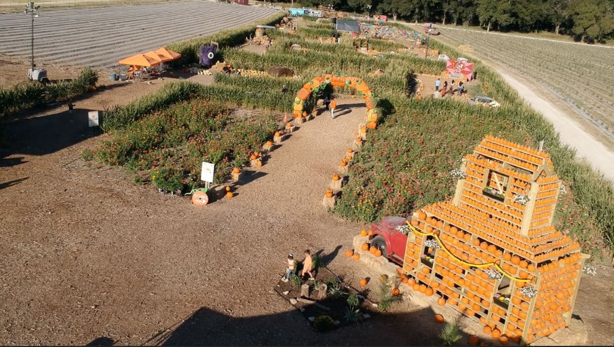 An overhead view of pumpkin displays, a pumpkin arch and paths between planted beds at Sweet Eats Adventure Farm.