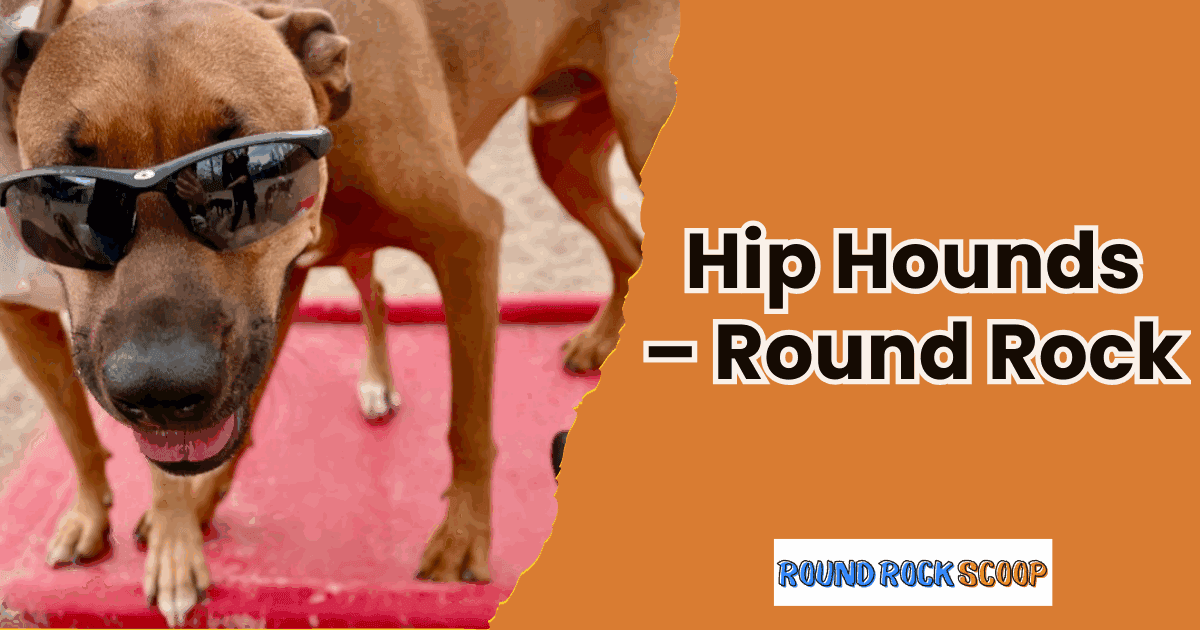 Endless Play and Care at Hip Hounds — featured image