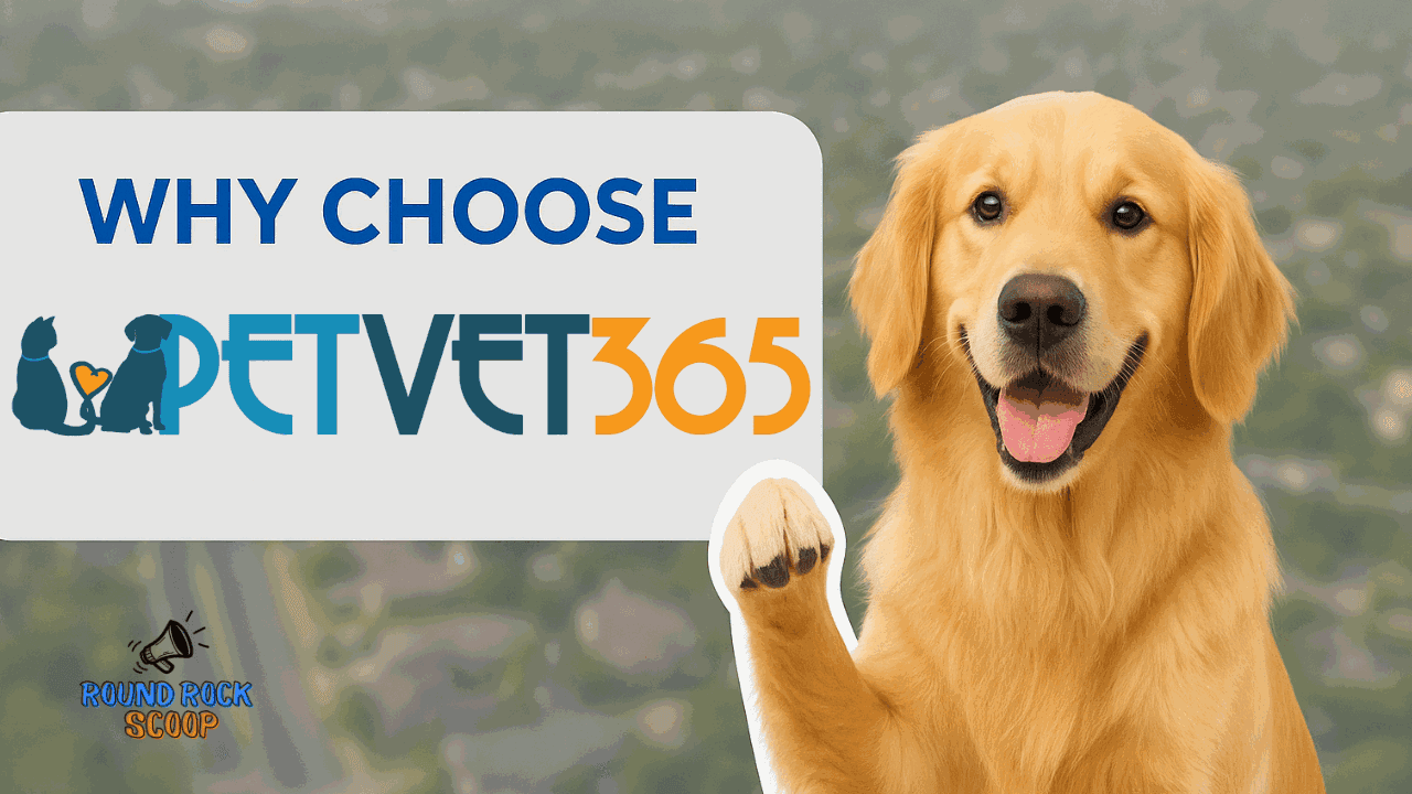 Everyday Pet Care: PetVet365, Georgetown — featured image