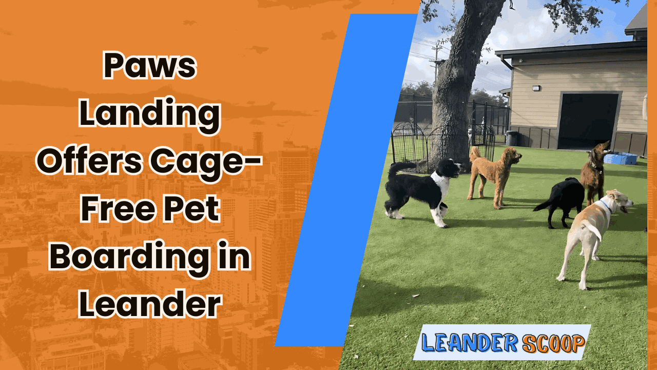 Paws Landing Offers Cage-Free Pet Boarding in Leander — featured image