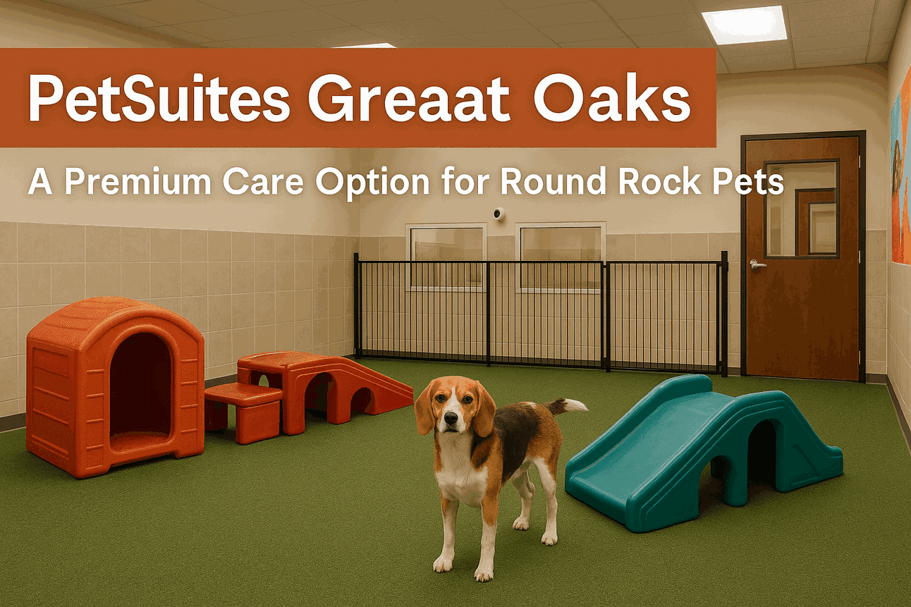 PetSuites Great Oaks: A Premium Care Option for Round Rock Pets — featured image