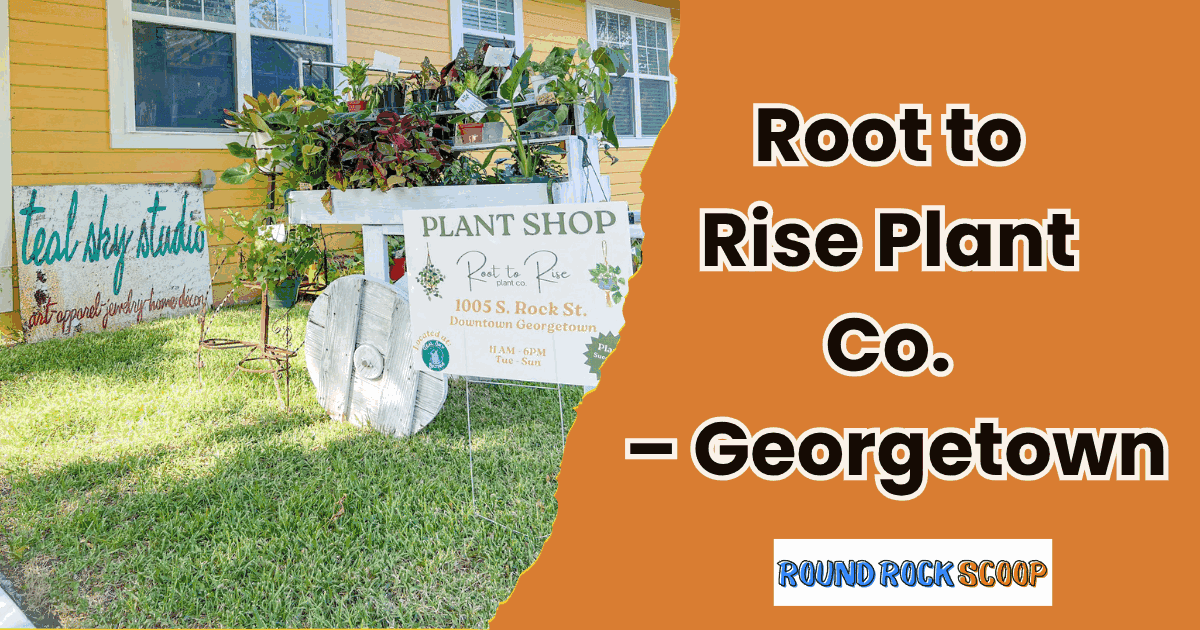 Plants, Local Goods & Creative Vibes – Root to Rise Plant Co., Georgetown — featured image