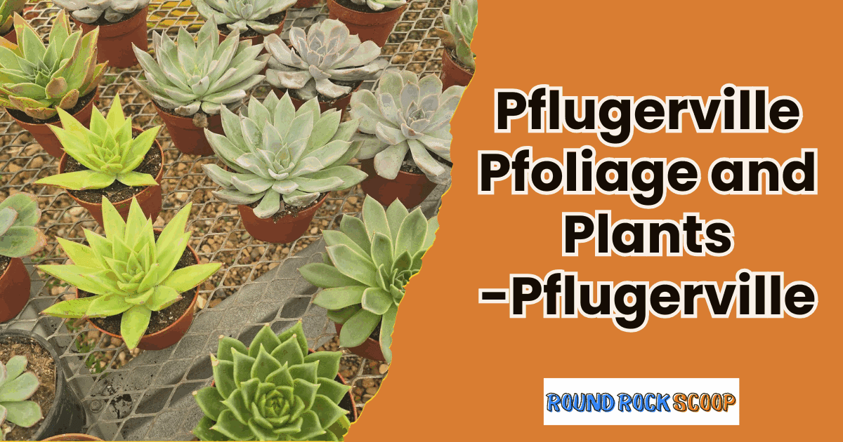 Plants With Personality – Pflugerville Pfoliage and Plants, Pflugerville — featured image