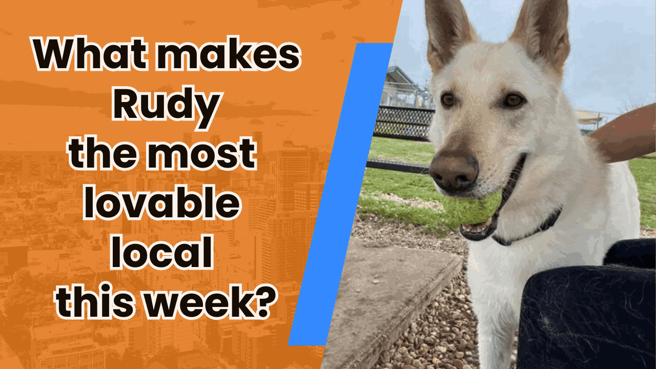 💗 What makes Rudy the most lovable local this week? — featured image