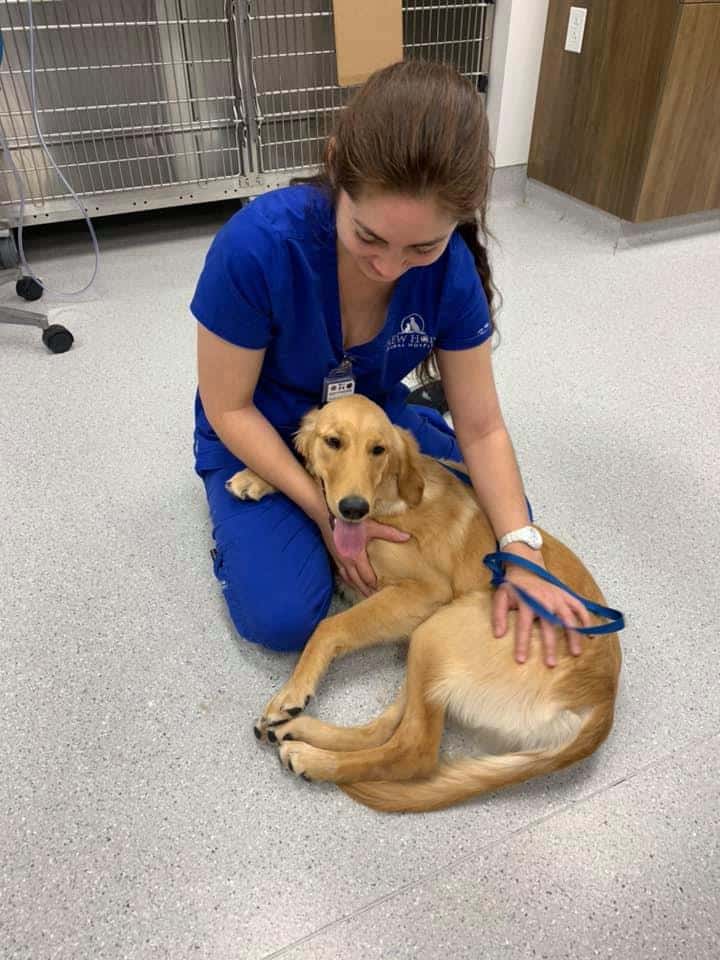 New Hope Animal Hospital — Pet Services photo 2 of 5