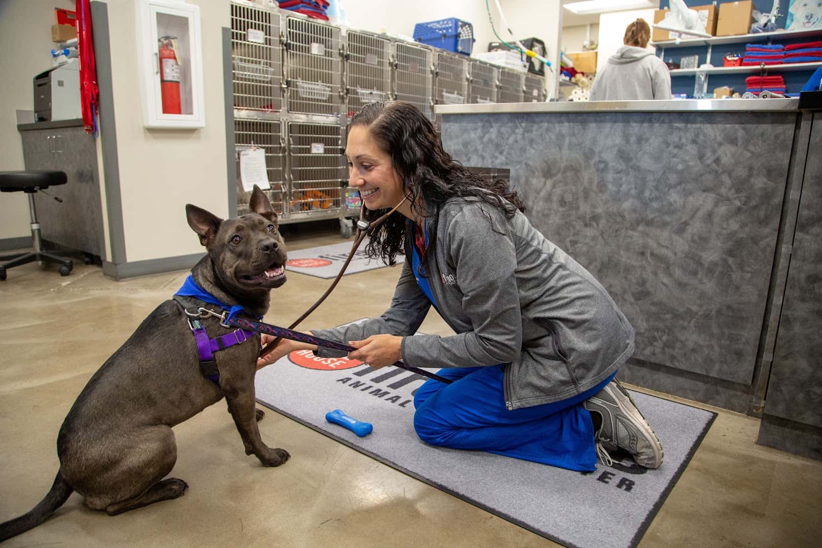 Firehouse Animal Health Center Leander — Pet Services photo 3 of 5