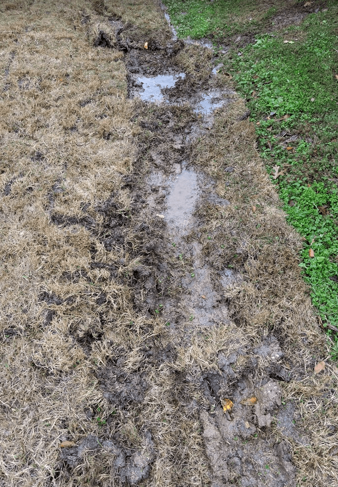 Evergreen Landscape & Irrigation — Lawn & Landscape photo 1 of 3