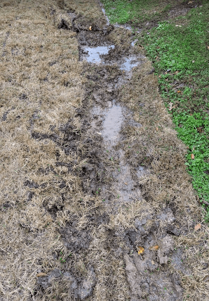 Evergreen Landscape & Irrigation — Lawn & Landscape photo 3 of 3