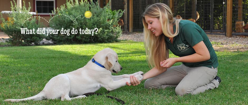 Action Pack - Georgetown — Pet Services photo 1 of 5