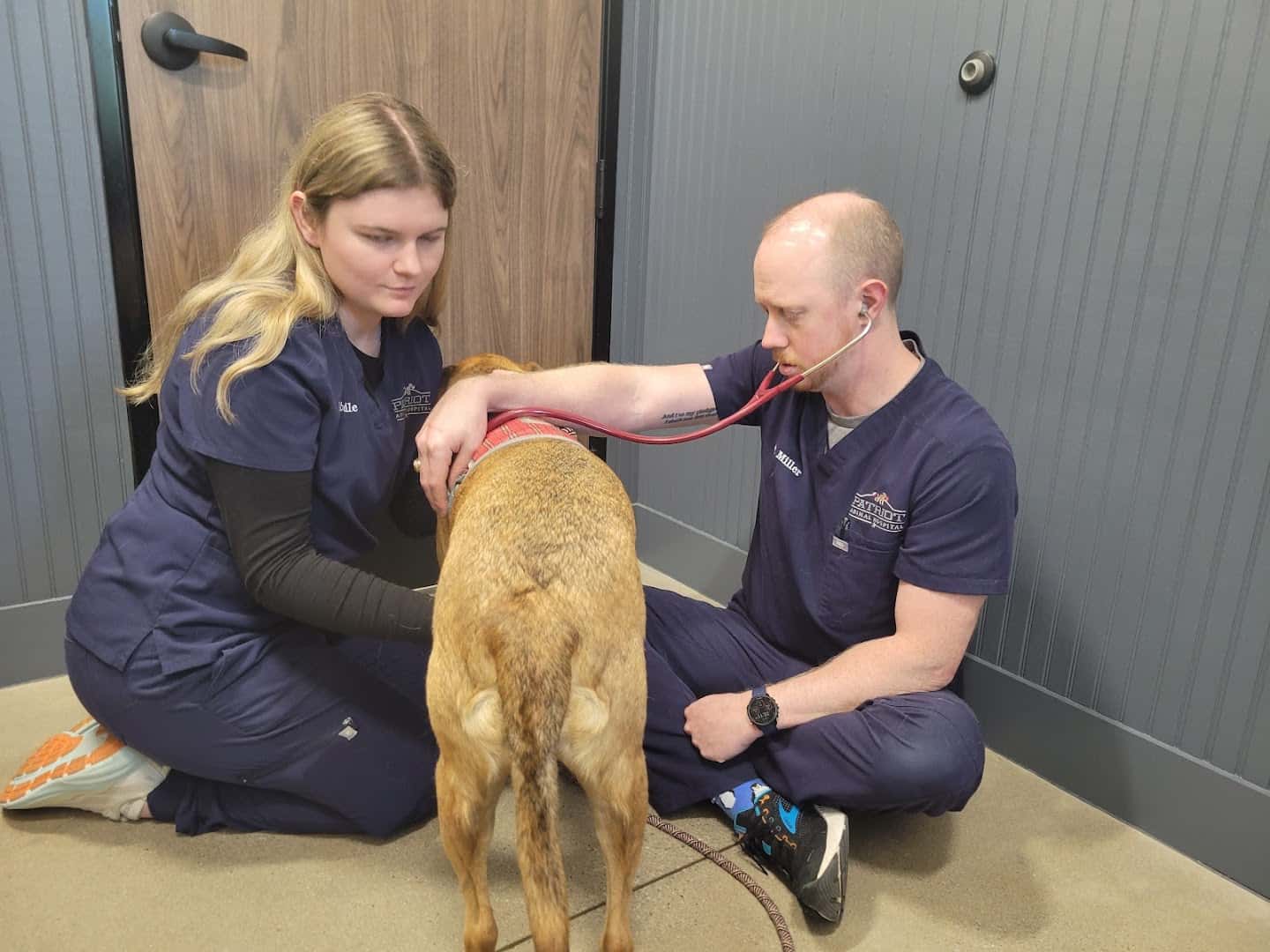 Patriot Animal Hospital — Pet Services photo 3 of 5
