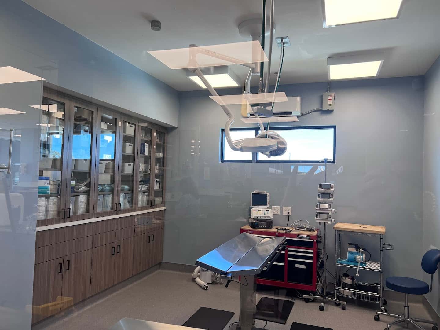 Emergency Animal Hospital of Crystal Falls — Pet Services photo 2 of 5