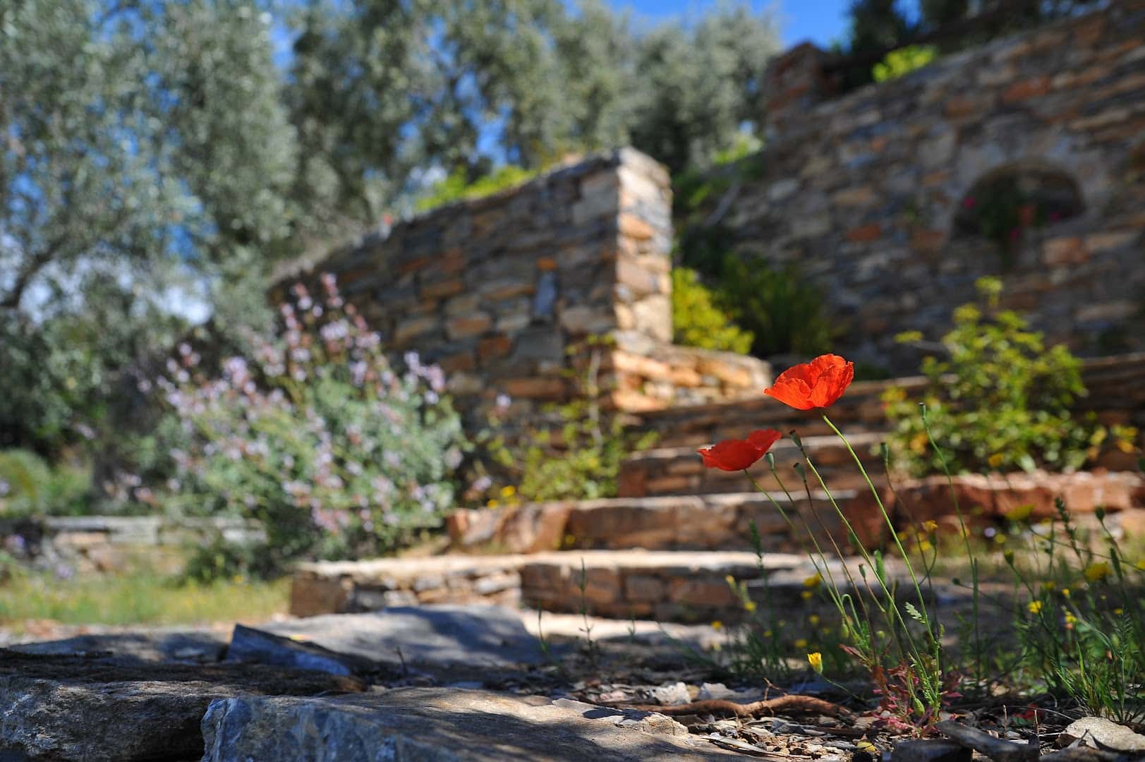ILLSCAPES — Lawn & Landscape photo 1 of 5